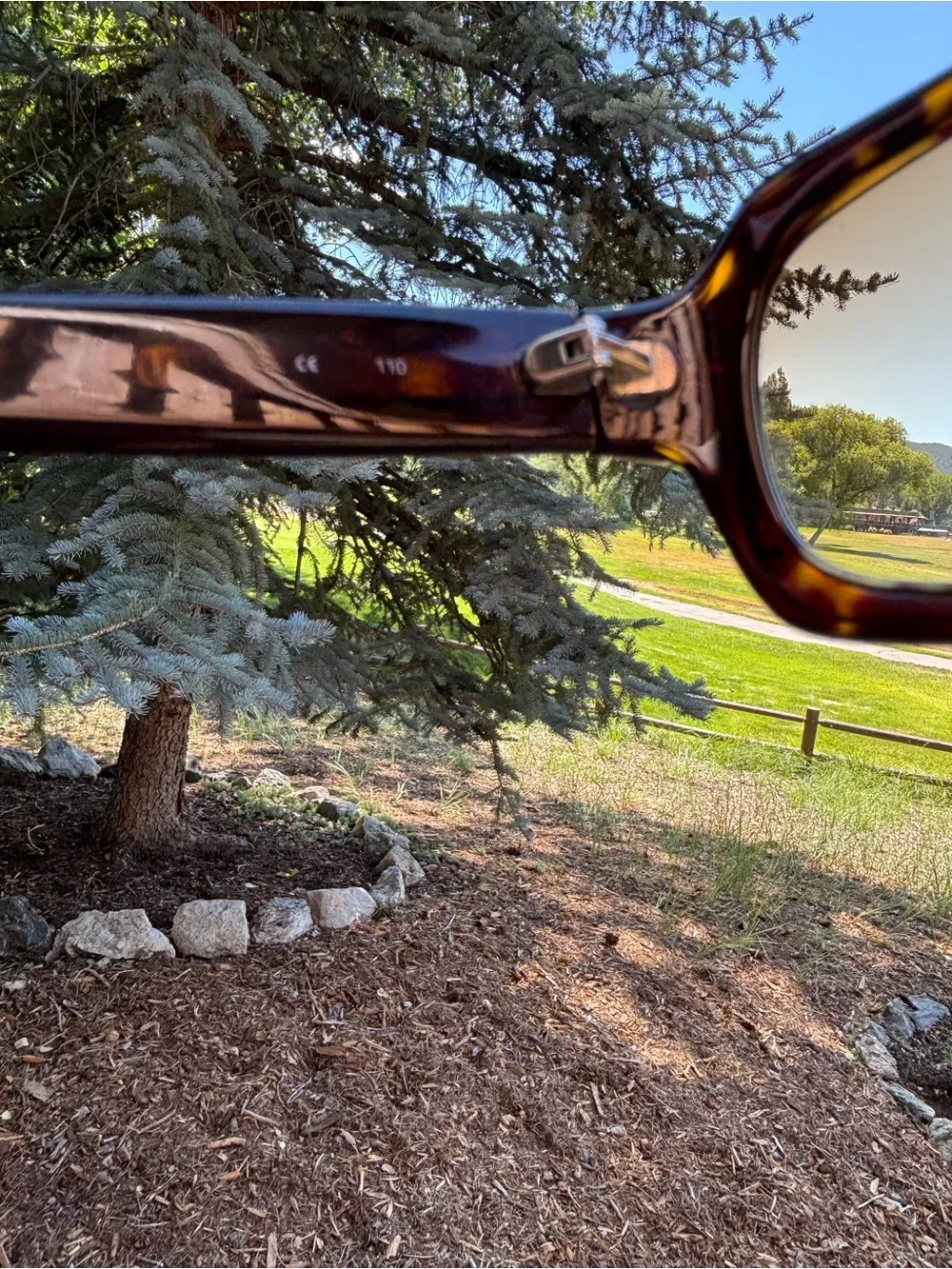 Coach Samantha Brown Tortoiseshell Sunglasses with Signature Case